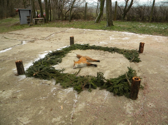 spolocná na Stefana