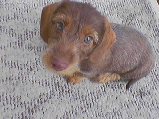 Moje malé zlatíčko