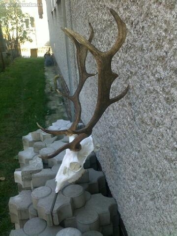 Prvý daniel-vyvárený