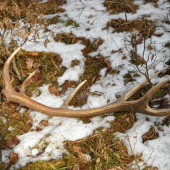 A takto si tam na mňa čakal...