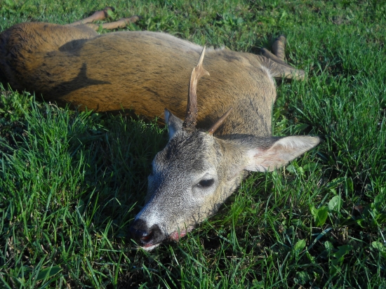 zaujímavá jednotka