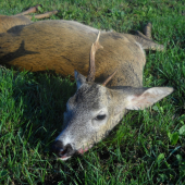 zaujímavá jednotka