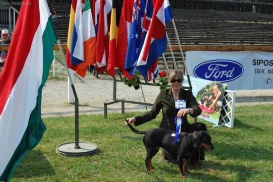 Fany z Mlakoch-Výstava Maďarsko /CAJC, BOB/