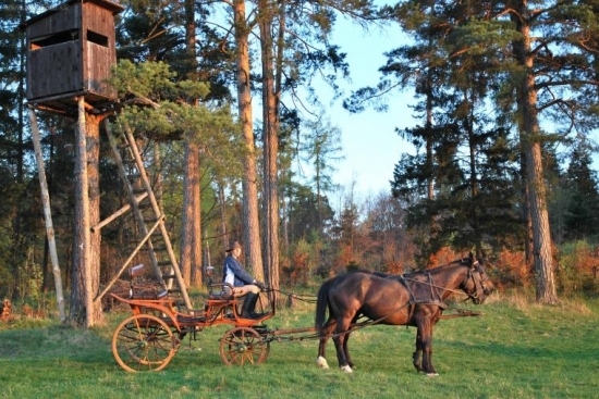 Ekologická doprava -:)