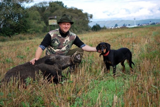 Uspešná dohľadávka