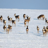 Kto nás spočíta....?