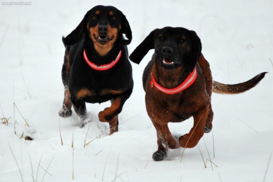 Kto bude zýchlejší?