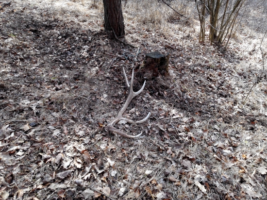 3tí a konecne cerstvy :))