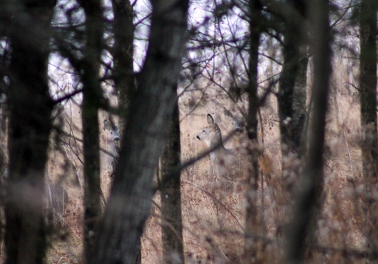 hra na schovávačku