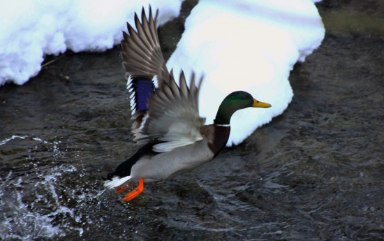 letovka prvé pokusy :)