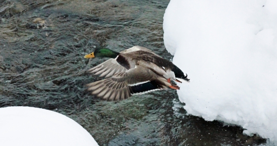 letovka pokus číslo 2 :)