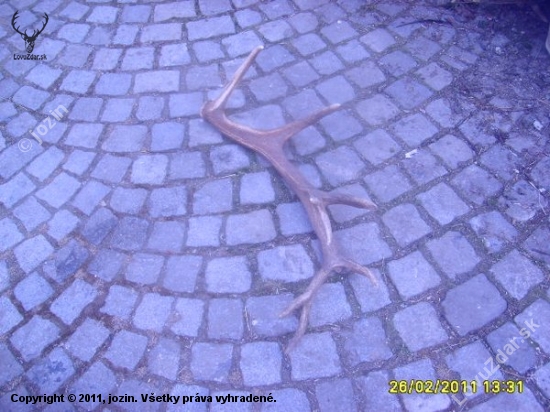 1 zhoz 2011 16sterak foto č3