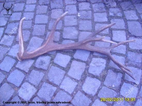 1 zhoz 2011 16sterak foto č4