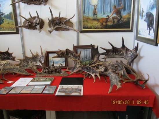 lysa2011 pro caprin 2 foto