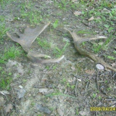 zhoz č 6 a 7 duben 2009