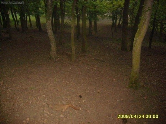 zhoz č 5 duben 2009