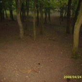 zhoz č 5 duben 2009