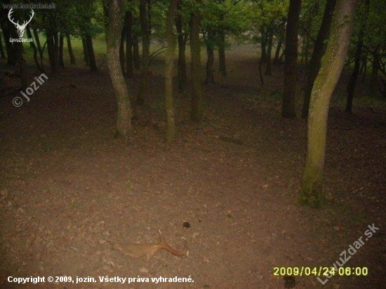 zhoz č 5 duben 2009