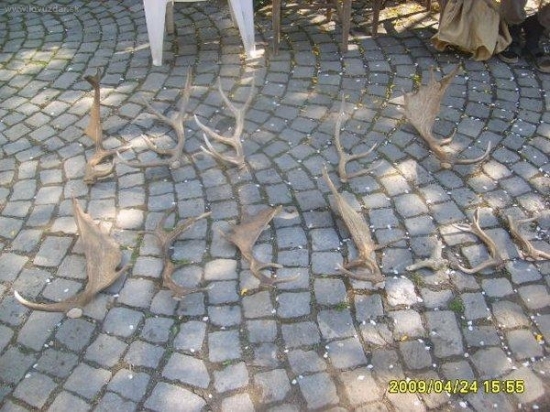 zhozy od čtvrtka 23.4.od 17 do 24,4 2009 do 15 hod