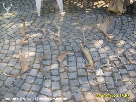 zhozy od čtvrtka 23.4.od 17 do 24,4 2009 do 15 hod
