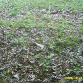 zhoz č 8 duben 2009