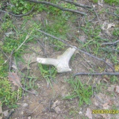 zhoz č 9 duben 2009 starši