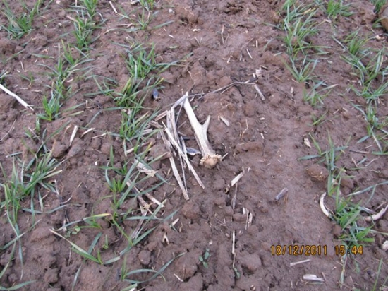 začatek sezony foto č1