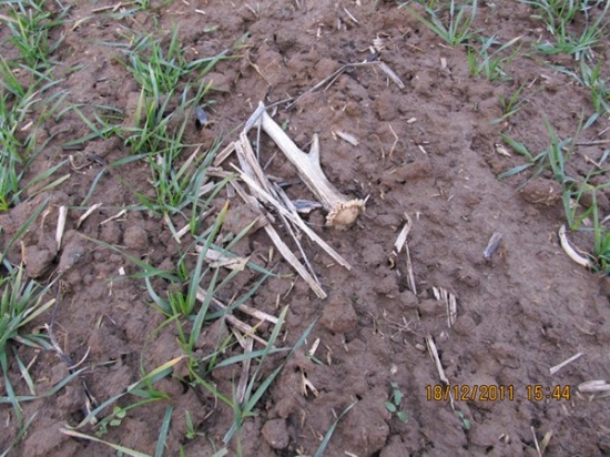 začatek sezony foto č2