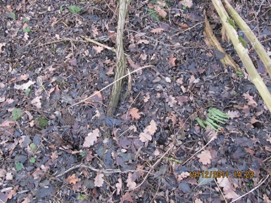 2 zhoz srnči 2011-2012