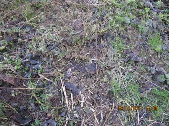 3 zhoz srnči 2011-2012