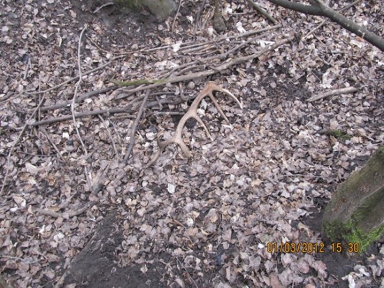 zhoz č 2 2012 kamoše petra