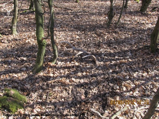 zhoz č 7 2012