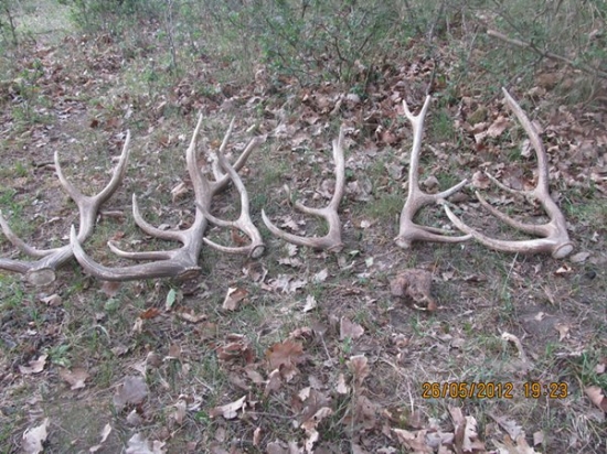 dozber za 3 cca  hodky