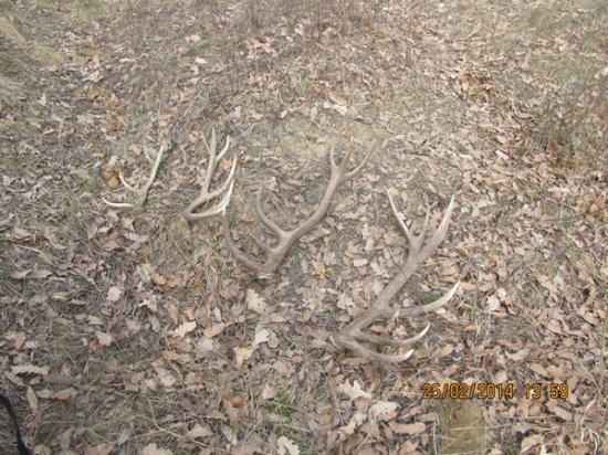 1 letošni vychazka ve 2 ,2 stare 2 čerstve