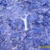 včerejši 2 taky ne čerstvy