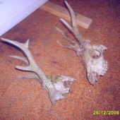 pro matej mam 2 vlastně uš 3 s tim včerejšim