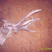 všimnete si něčeho co na to řeknete