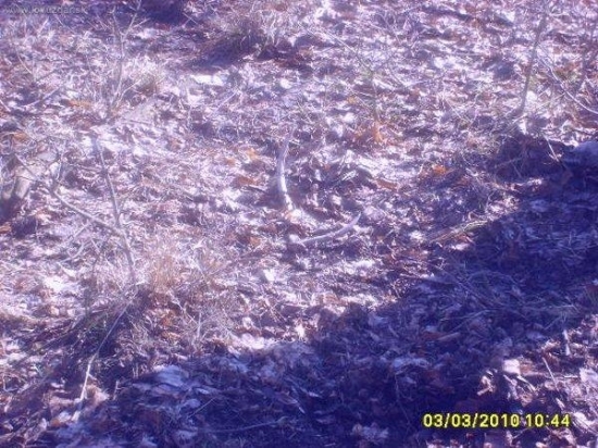 sezona 2010 2 zhoz stary