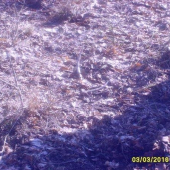 sezona 2010 2 zhoz stary