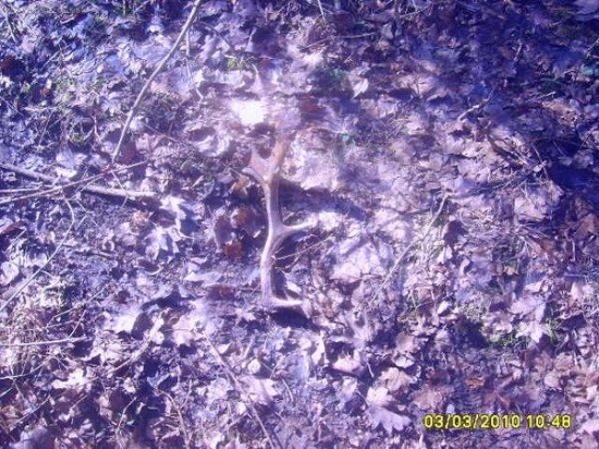 sezona 2010 kamošuf danči zhoz stary