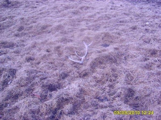 muj 3 sezona 2010ale lonsky