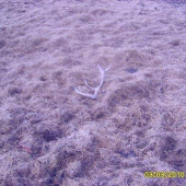 muj 3 sezona 2010ale lonsky