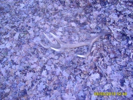 5 zhozsezona2010,3čerstvi