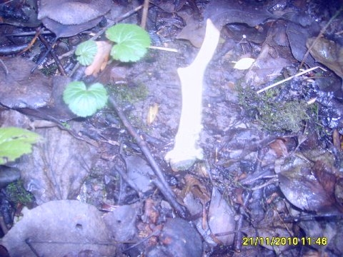 muj 2 letos ne čerstvi