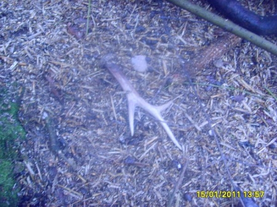 včerejši povolil snich 2