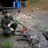 vykŕmený lanštiak