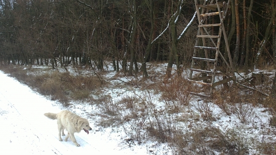 prvy sneh tento rok ,,,,