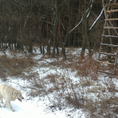 prvy sneh tento rok ,,,,