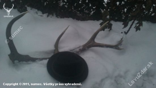 nahodny,,,,