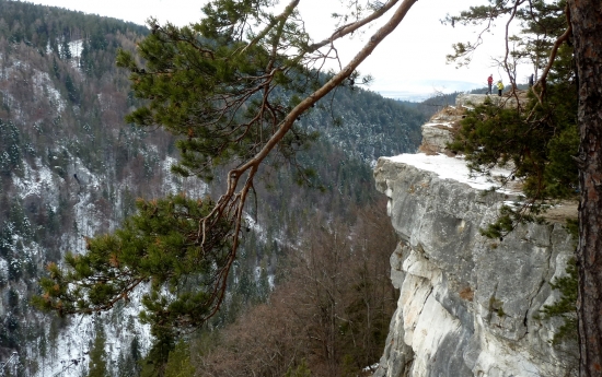 Silvestrovský Tomašák